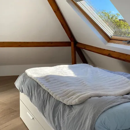 Luxury With Roof Terrace In Apartment The Hague