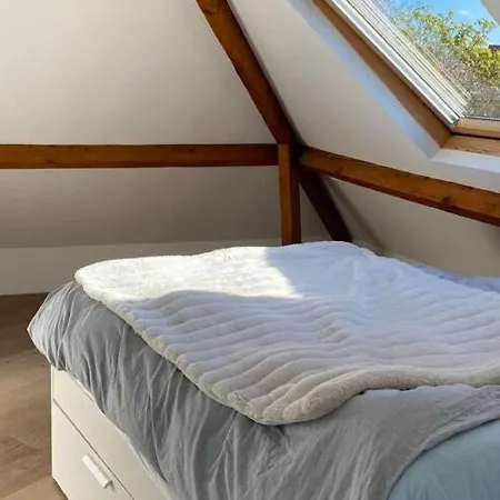 Luxury With Roof Terrace In Apartment *